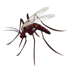 Mosquito Emoji